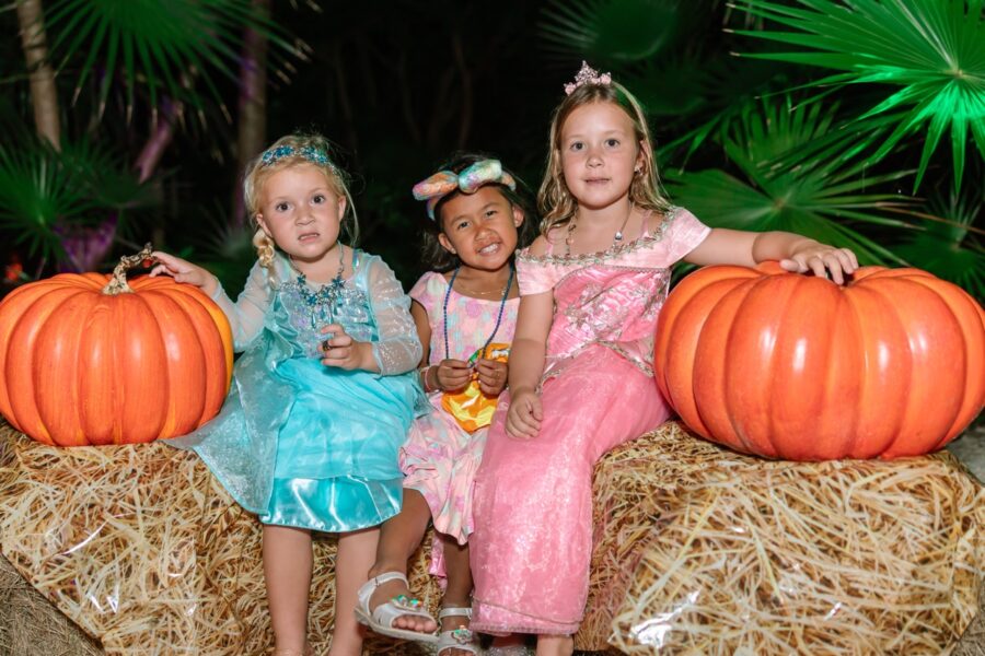 three little girls sitting on hay with pumpkins
