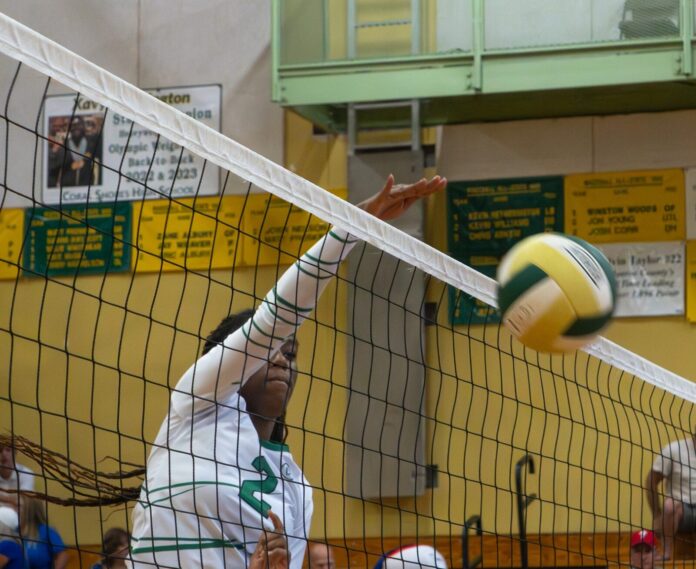 DSC01603 a volleyball player hitting a ball over the net