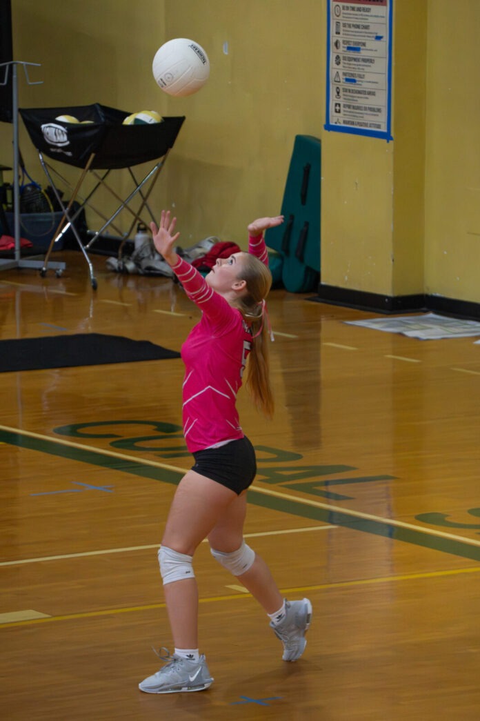 a girl in a pink shirt is playing volleyball