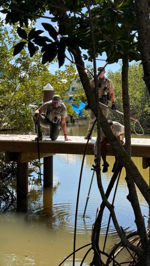 a couple of men standing on top of a wooden bridge