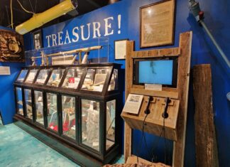 a museum filled with lots of different types of items