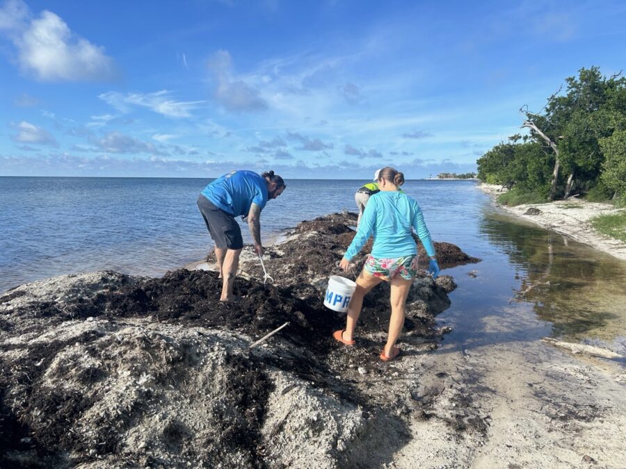 a couple of people standing on top of a rocky beach