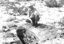 KEYS HISTORY: GHOSTS OF INDIAN KEY a man kneeling down next to a dead animal