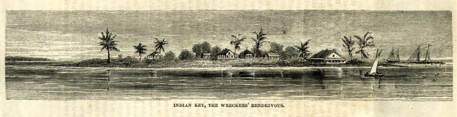 a drawing of a small island surrounded by palm trees