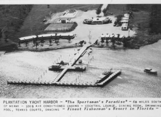 a black and white photo of a harbor