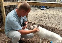 a man is petting a small white dog