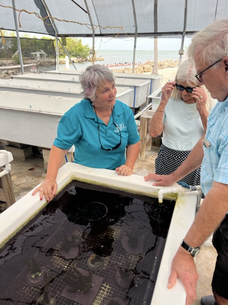 a man and a woman looking at a fish tank