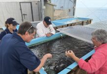 a group of people standing around a fish tank