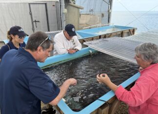 a group of people standing around a fish tank