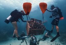 MARINE SANCTUARY FOUNDATION, OCEAN AID 360 TEAM UP TO REMOVE ‘GHOST TRAPS’ IN THE FLORIDA KEYS a group of people diving in the ocean