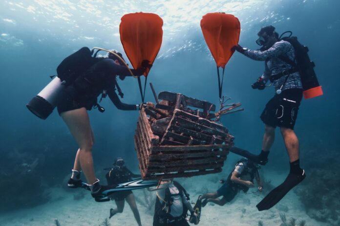 NMSF dual lift bags a group of people diving in the ocean