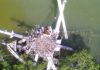 DERELICT 65-FOOT VESSEL QUEEN ANNE’S REVENGE GONE FROM KEY LARGO WATERS a bird's eye view of a bird's nest in the middle of