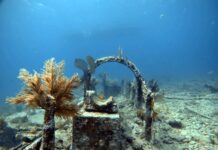an underwater photo of a boat wreck in the ocean