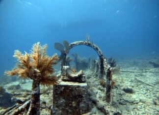 an underwater photo of a boat wreck in the ocean