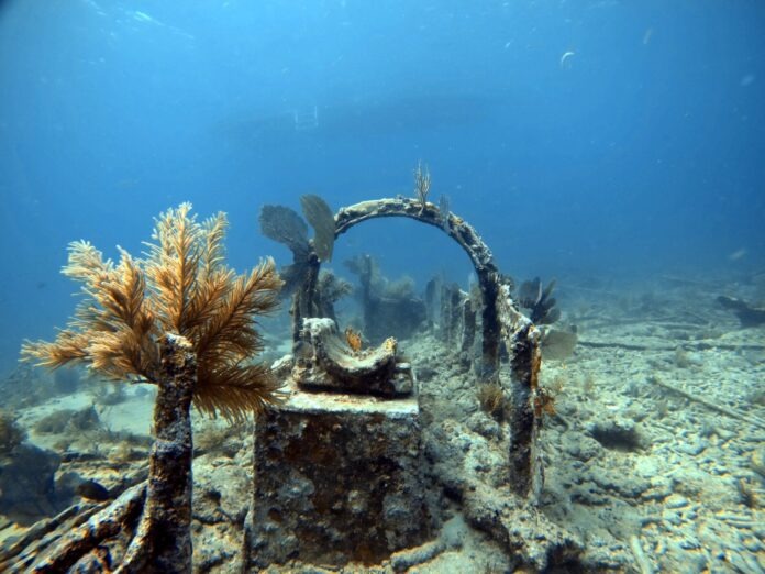 an underwater photo of a boat wreck in the ocean