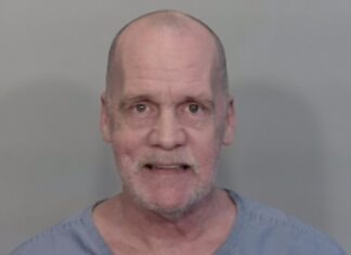 a man in a gray shirt is looking at the camera