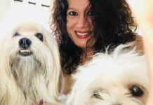 a woman taking a picture of two white dogs