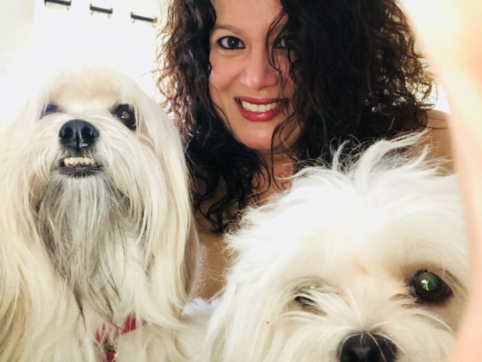 a woman taking a picture of two white dogs