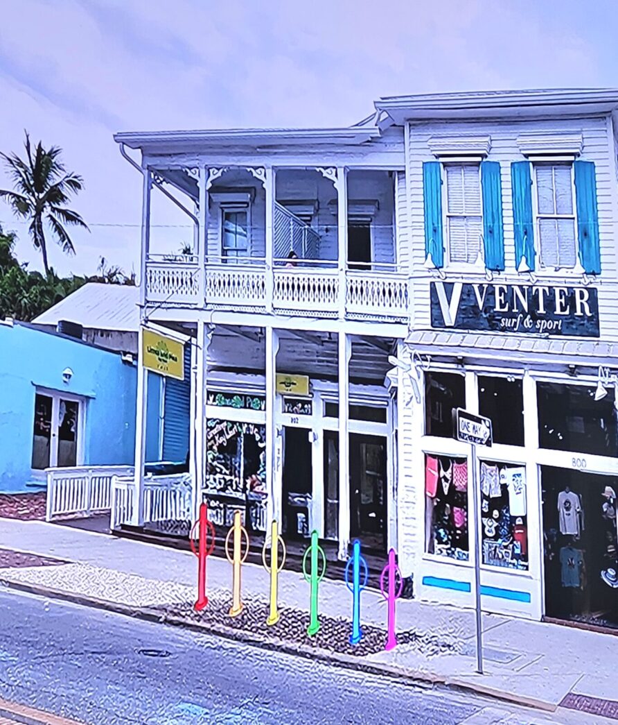 a street corner with a store front and blue buildings