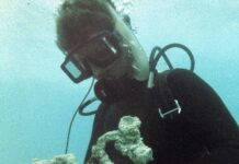 a man in a scuba suit is holding a coral