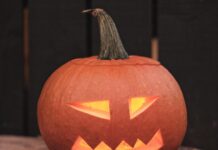KEEP KEY WEST SAFE FOR KIDS THIS HALLOWEEN a carved pumpkin sitting on top of a tree stump