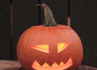 a carved pumpkin sitting on top of a tree stump