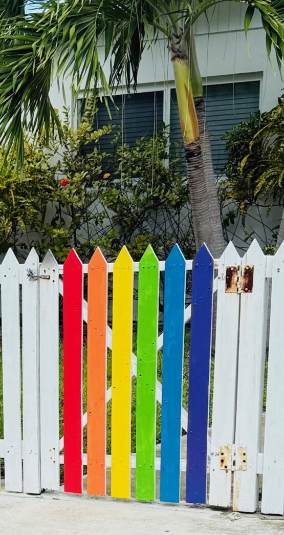 a rainbow colored fence with a palm tree in the background
