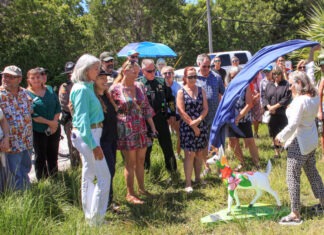 A STATUE TO ‘FAWN’ OVER: PAINTED KEY DEER Honors FALLEN OFFICER DAVID CORMIER a group of people standing next to each other