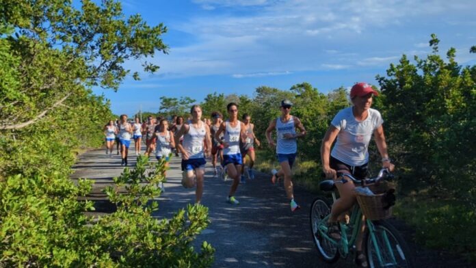 a group of people riding bikes down a road