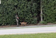 KEY LARGO SCHOOL LOCKDOWN UPLIFTED AFTER INDIVIDUAL FLEES FEDERAL AGENTS