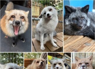 REEF’S REPORT: ‘THANKS-LIVING’ BRINGS REFLECTION OF THE PAST, GRATITUDE TO SUPPORTERS