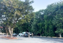 IMMIGRATION ENFORCEMENT CONTINUES IN THE UPPER FLORIDA KEYS AS AGENTS DETAIN MORE INDIVIDUALS