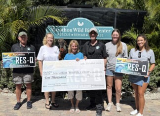 SPECIALTY PLATE DONATIONS HELP MARATHON WILD BIRD CENTER SPREAD ITS WINGS