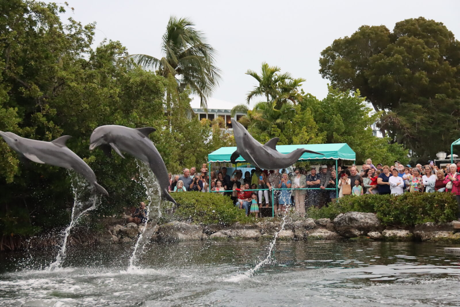 KEY LARGO ARTISANS MARKET RETURNS TO DOLPHINS PLUS BAYSIDE 