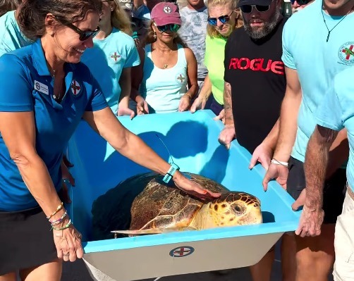 Screenshot a group of people standing around a turtle