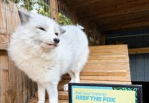 REEF’S REPORT: WINNING BEST CELEBRITY FOUR STRAIGHT YEARS COMES WITH A MESSAGE