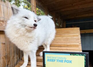 REEF’S REPORT: WINNING BEST CELEBRITY FOUR STRAIGHT YEARS COMES WITH A MESSAGE