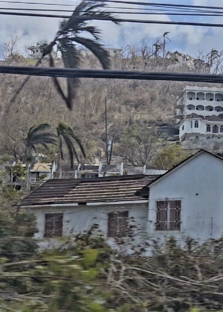a house with a palm tree in front of it