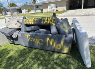 a couch that is sitting in the grass
