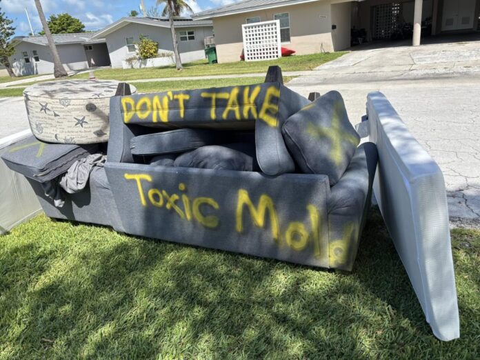 a couch that is sitting in the grass