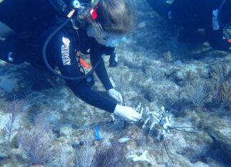 VOLUNTEERS & BIOLOGISTS DIVE IN TO RESTORE HOPE TO THE CORAL REEF