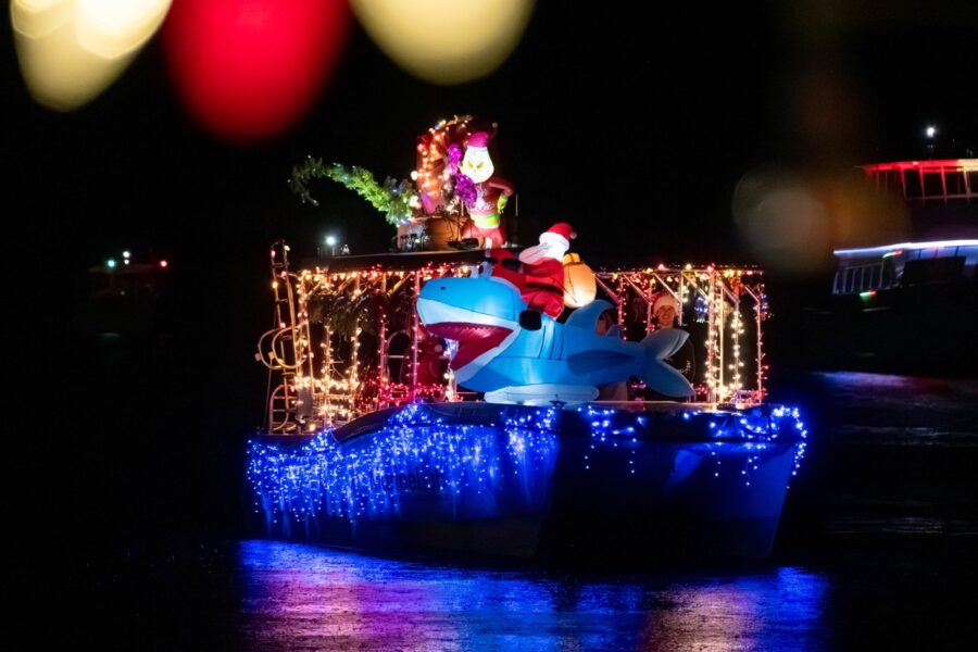 a boat decorated with christmas lights on the water