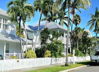 a truck parked on the side of a road next to palm trees