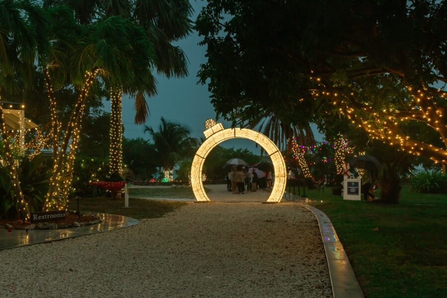 a pathway with lights and palm trees in the background