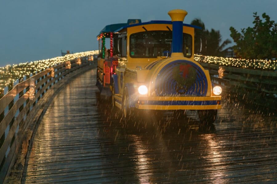 a train is traveling on a bridge in the rain