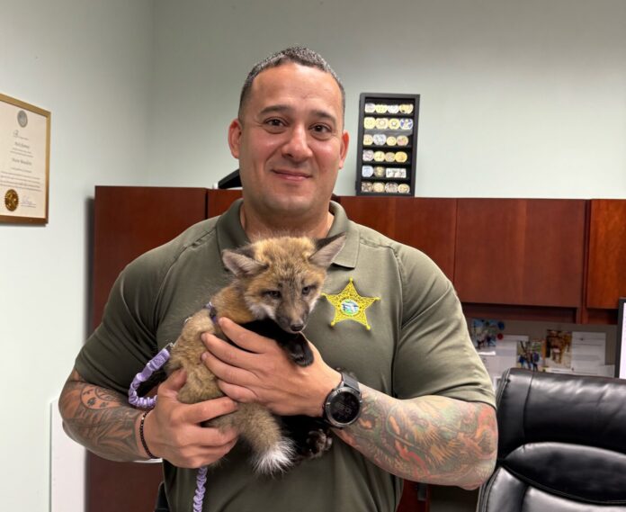 Benedetti with Isla a man holding a small animal in an office
