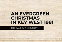 an evergreen christmas in key west, the bale in the closet