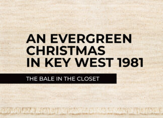 an evergreen christmas in key west, the bale in the closet