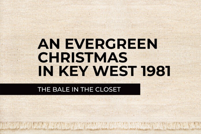 an evergreen christmas in key west, the bale in the closet