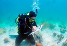 NOAA’S BILL GOODWIN RETIRES FOLLOWING 30-PLUS YEARS a man in a scuba suit is looking at something on the ocean floor